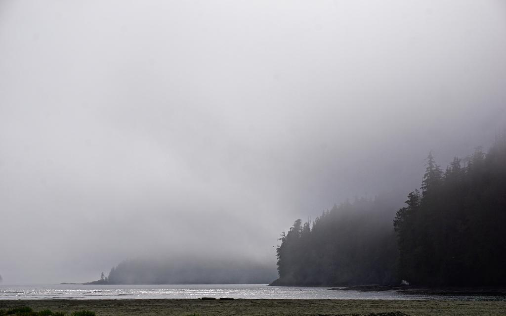 The Bamfield Motel Salmon Beach ภายนอก รูปภาพ