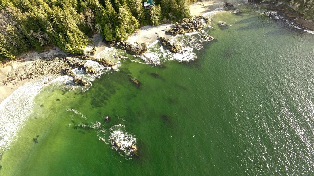 The Bamfield Motel Salmon Beach ภายนอก รูปภาพ