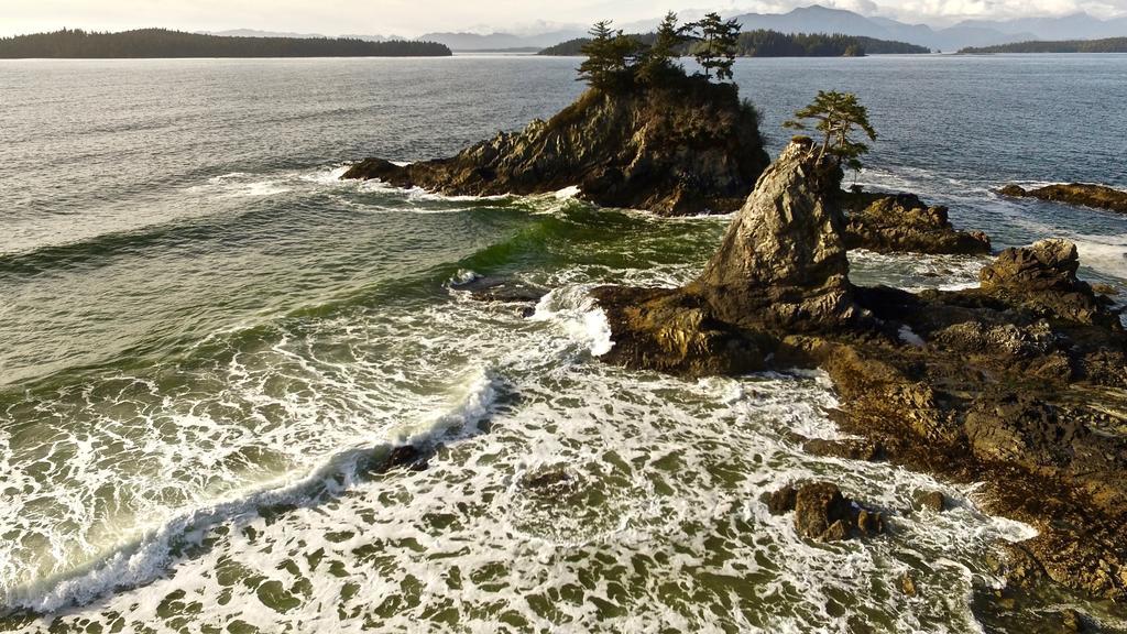 The Bamfield Motel Salmon Beach ภายนอก รูปภาพ