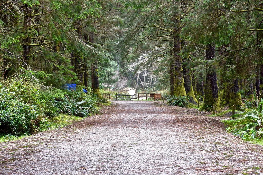 The Bamfield Motel Salmon Beach ภายนอก รูปภาพ